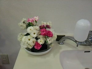 鹿児島ラーメンセンター マルヤスの出入り口横の洗面台にはお花が飾られている
