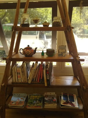 ドッグカフェコカプーの窓際の棚にいろんな本が置いてある