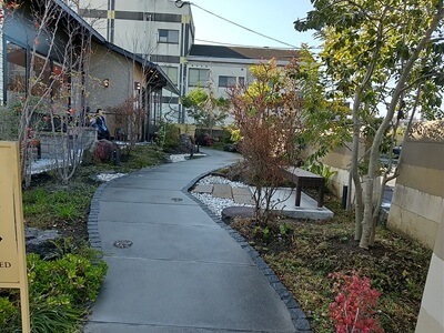 黒豚料理 寿庵 東開店の入口の門から入口ドアまでの雰囲気